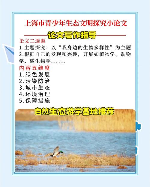 文旅观察：生态旅游兴起，如何守好生态保护红线？